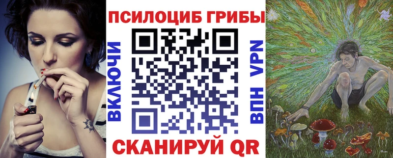 купить наркотик  Агрыз  Псилоцибиновые грибы ЛСД 